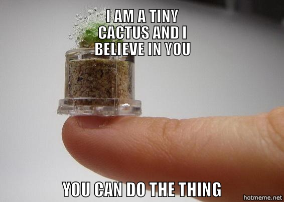 I am a tiny cactus and I believe in you. You can do the thing!